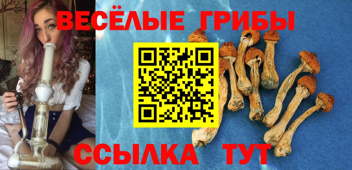 Псилоцибиновые грибы мухоморы Ульяновск