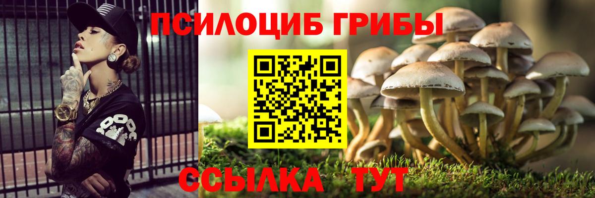 купить наркотики цена  Псилоцибиновые грибы Magic Shrooms  Псилоцибиновые грибы Psilocybine cubensis  Вход с VPN  Ульяновск 